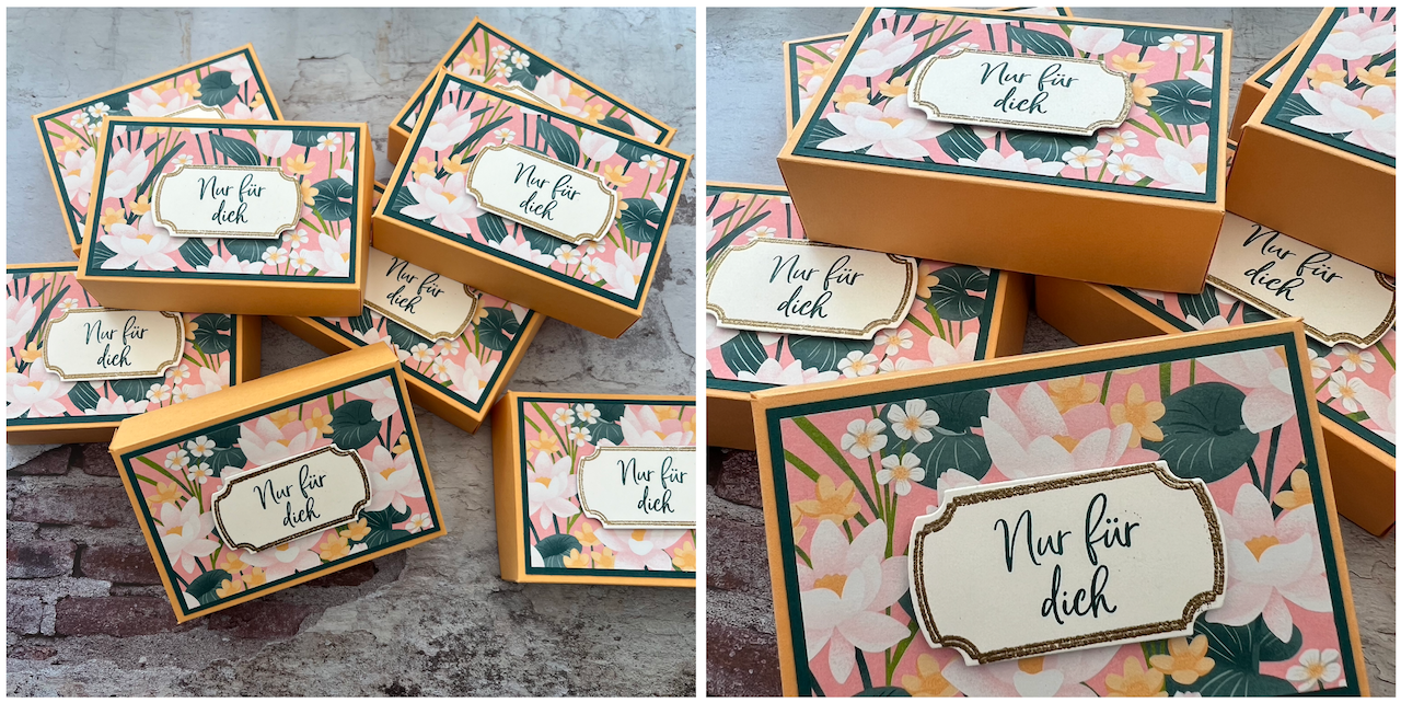 29.07.24 - Schoner Seerosenteich.png